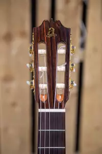 ویژگی و مشخصات گیتار آدمیرا خوآنیتا EFC